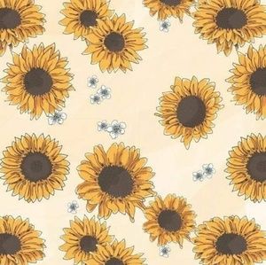 Meet your Posher, Whitney